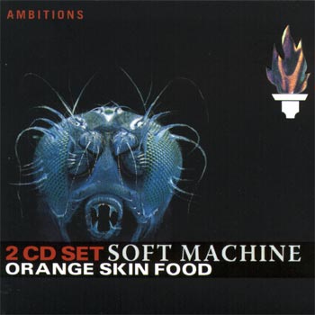 Cover des Mediums Orange Skin Food (Disc 2)